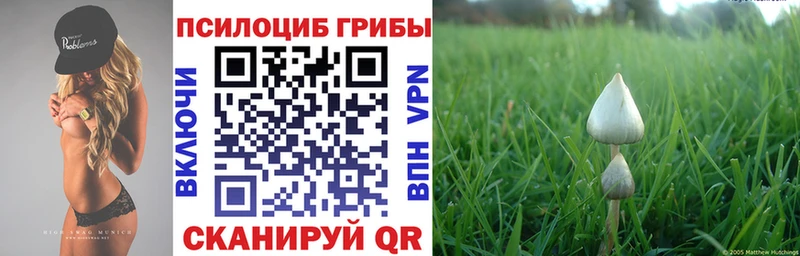 Псилоцибиновые грибы Magic Shrooms  Кодинск 